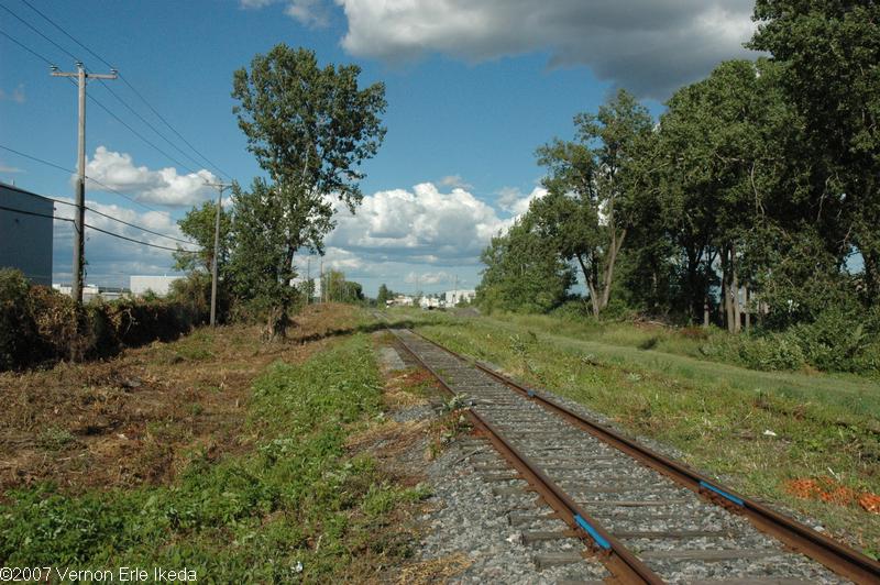 At Doyan Avenue looking east toward Delmar Avenue.